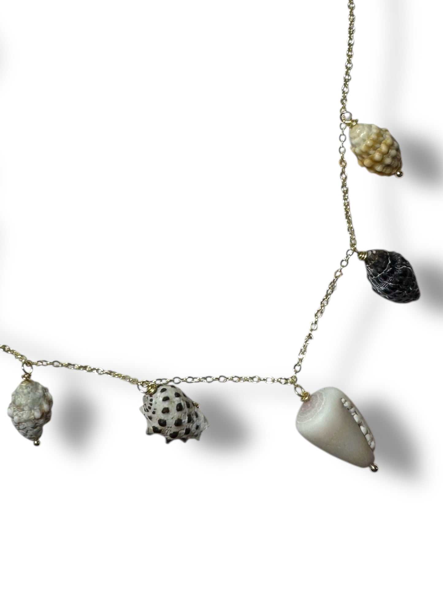 Cone Shell Necklace